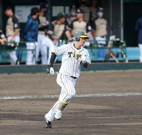 阪神対日本ハム（練習試合）　5回裏阪神無死一塁、佐藤輝は右越え2点本塁打を放つ（撮影・加藤哉）