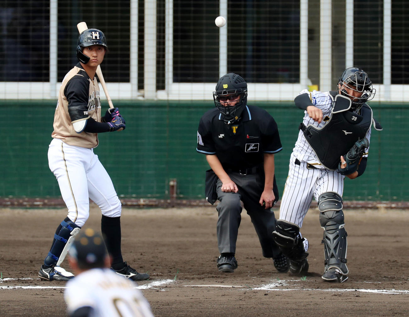 阪神対日本ハム　6回表日本ハム2死一塁、栄枝は一走平沼の二塁盗塁を刺す（撮影・加藤哉）
