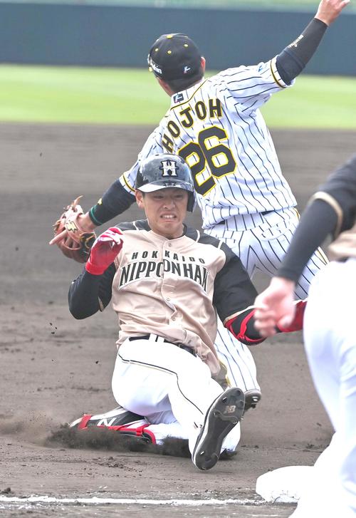 阪神対日本ハム　5回表日本ハム無死、右越えへ三塁打を放つ野村佑希（撮影・上田博志）