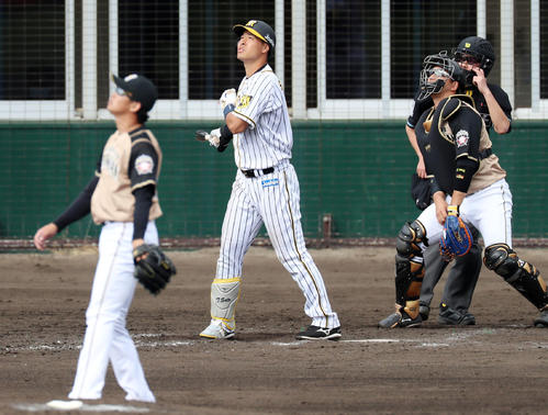 阪神対日本ハム（練習試合）　5回裏阪神無死一塁、佐藤輝は右越え2点本塁打を放つ、左は鈴木（撮影・加藤哉）