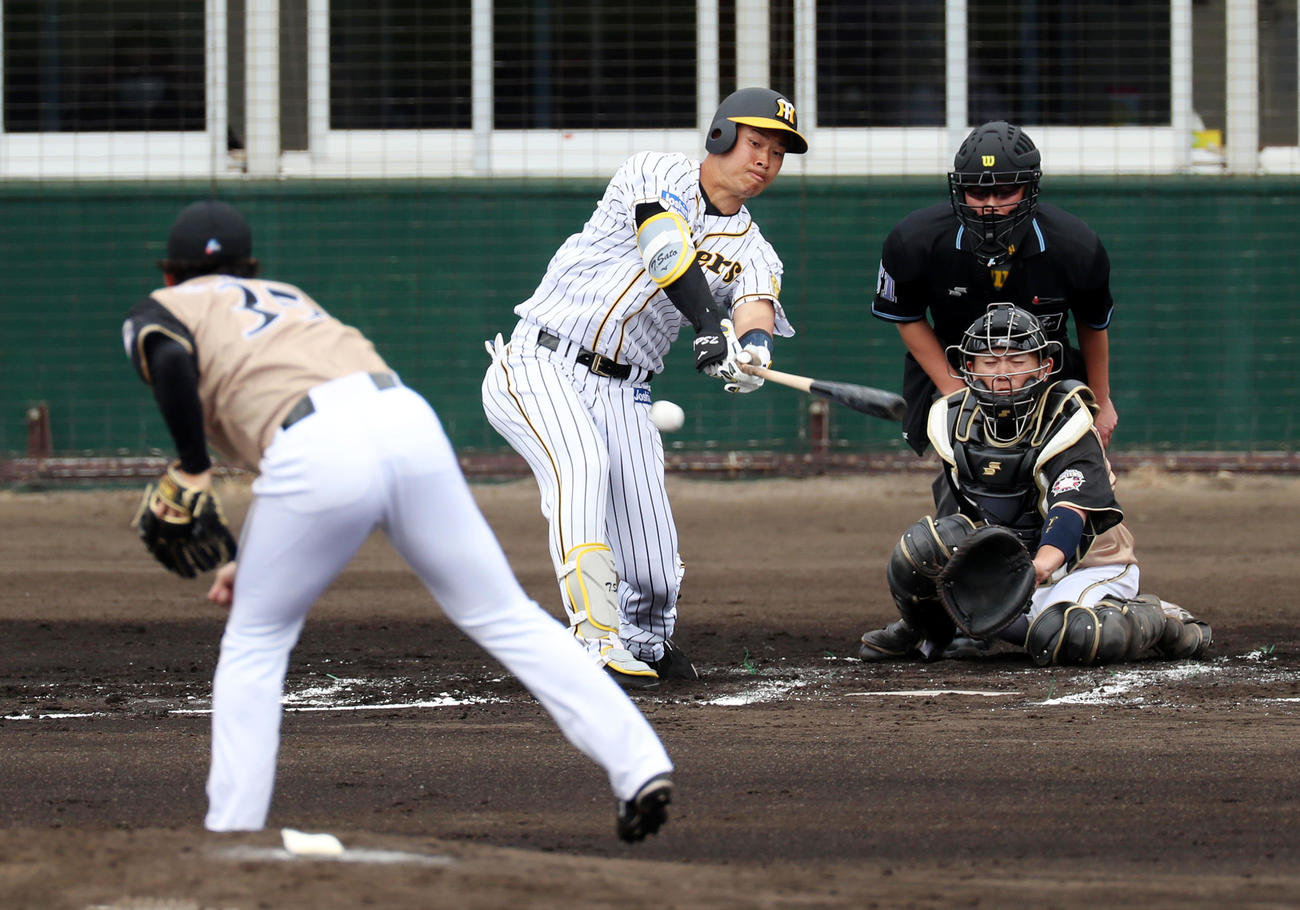 阪神対日本ハム　1回裏阪神1死、佐藤輝明は右前打を放つ（撮影・加藤哉）