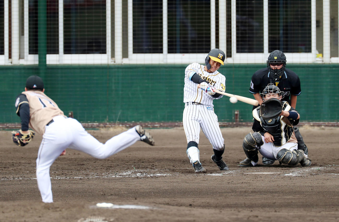 阪神対日本ハム　3回裏阪神2死一、二塁、糸原は右前適時打を放つ、左は生田目（撮影・加藤哉）