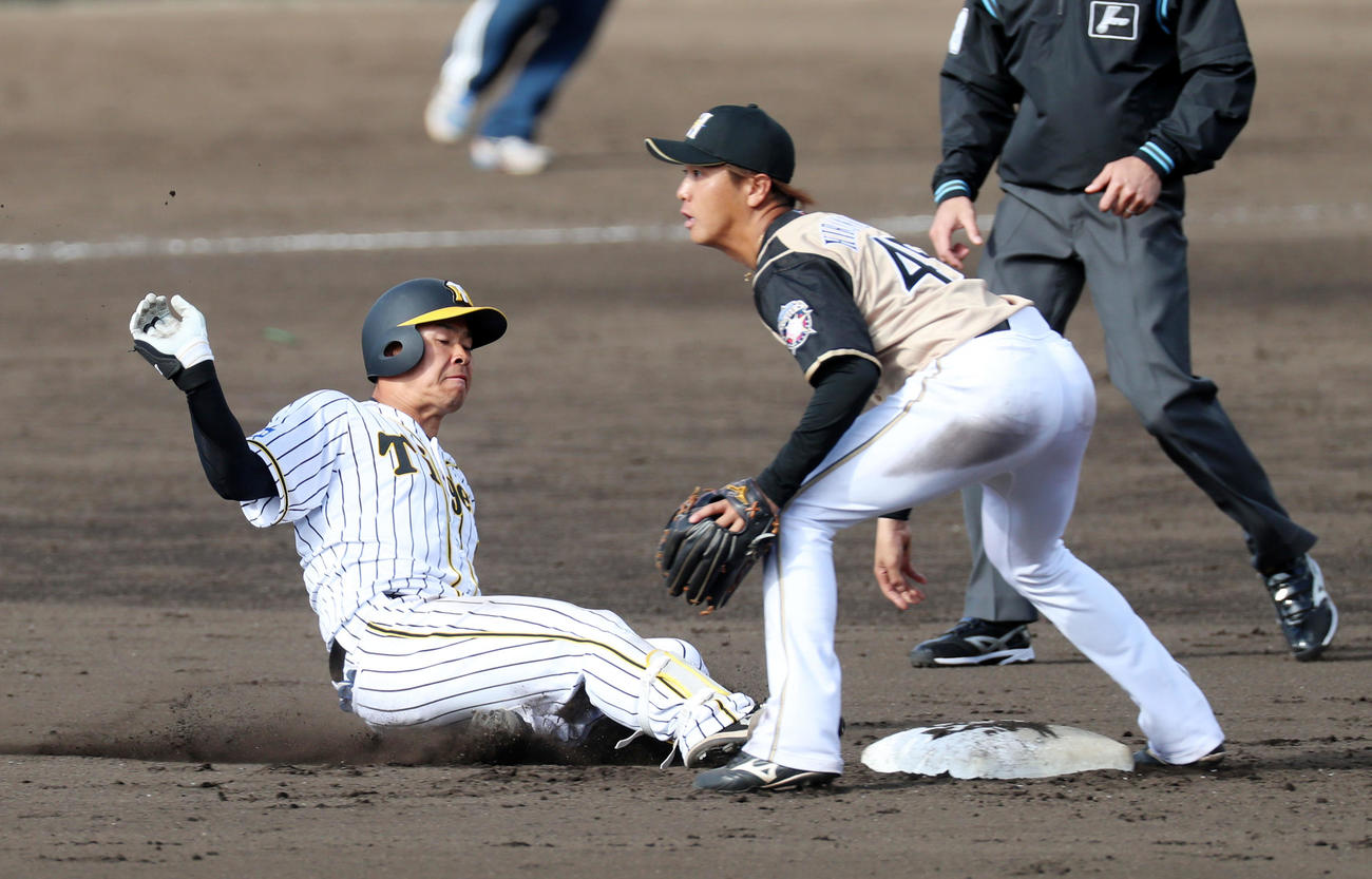 阪神対日本ハム（練習試合）　7回裏阪神1死二塁、佐藤輝は右線に適時二塁打を放つ、右は平沼（撮影・加藤哉）