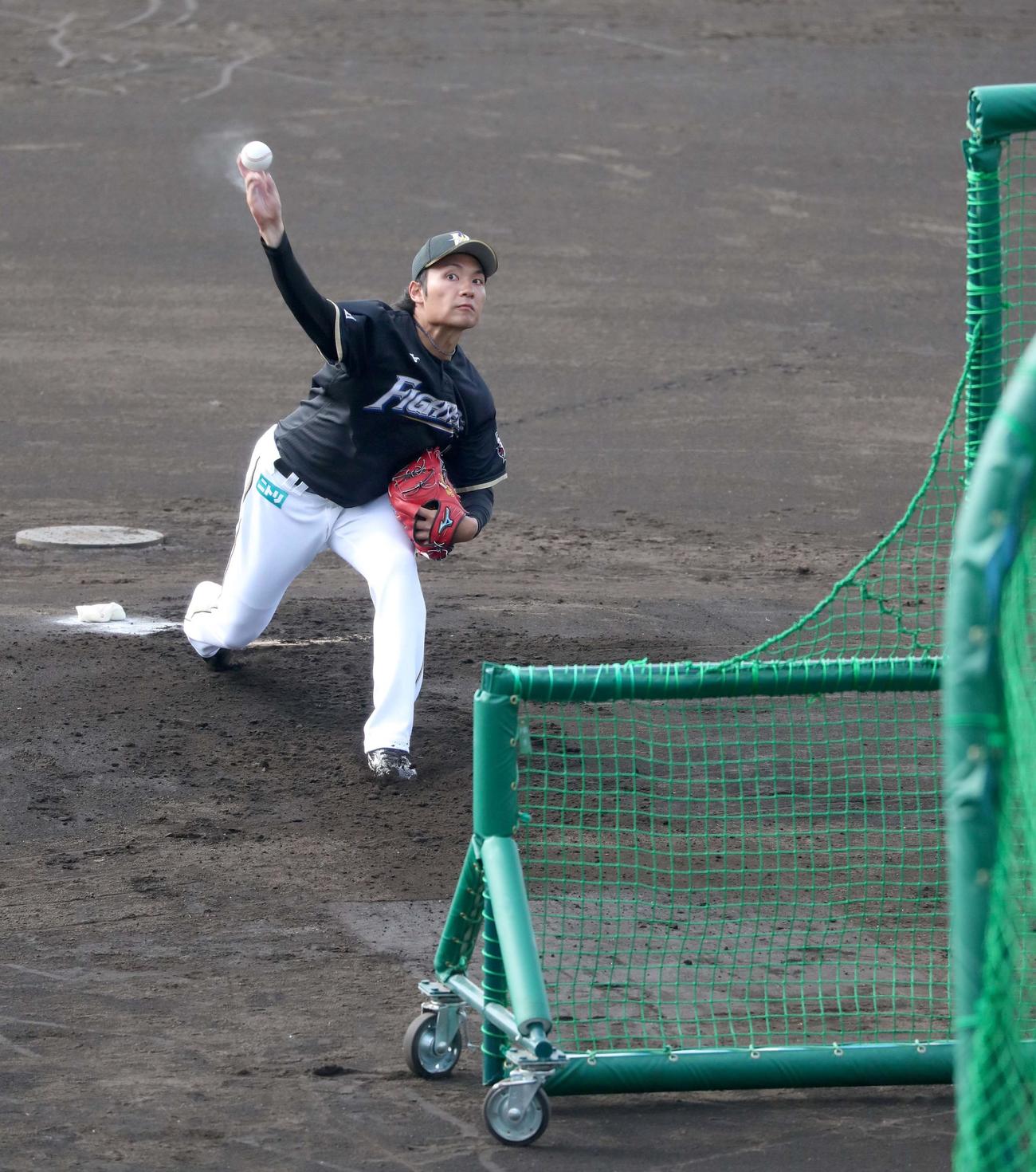 打撃投手を務める日本ハム伊藤（撮影・佐藤翔太）