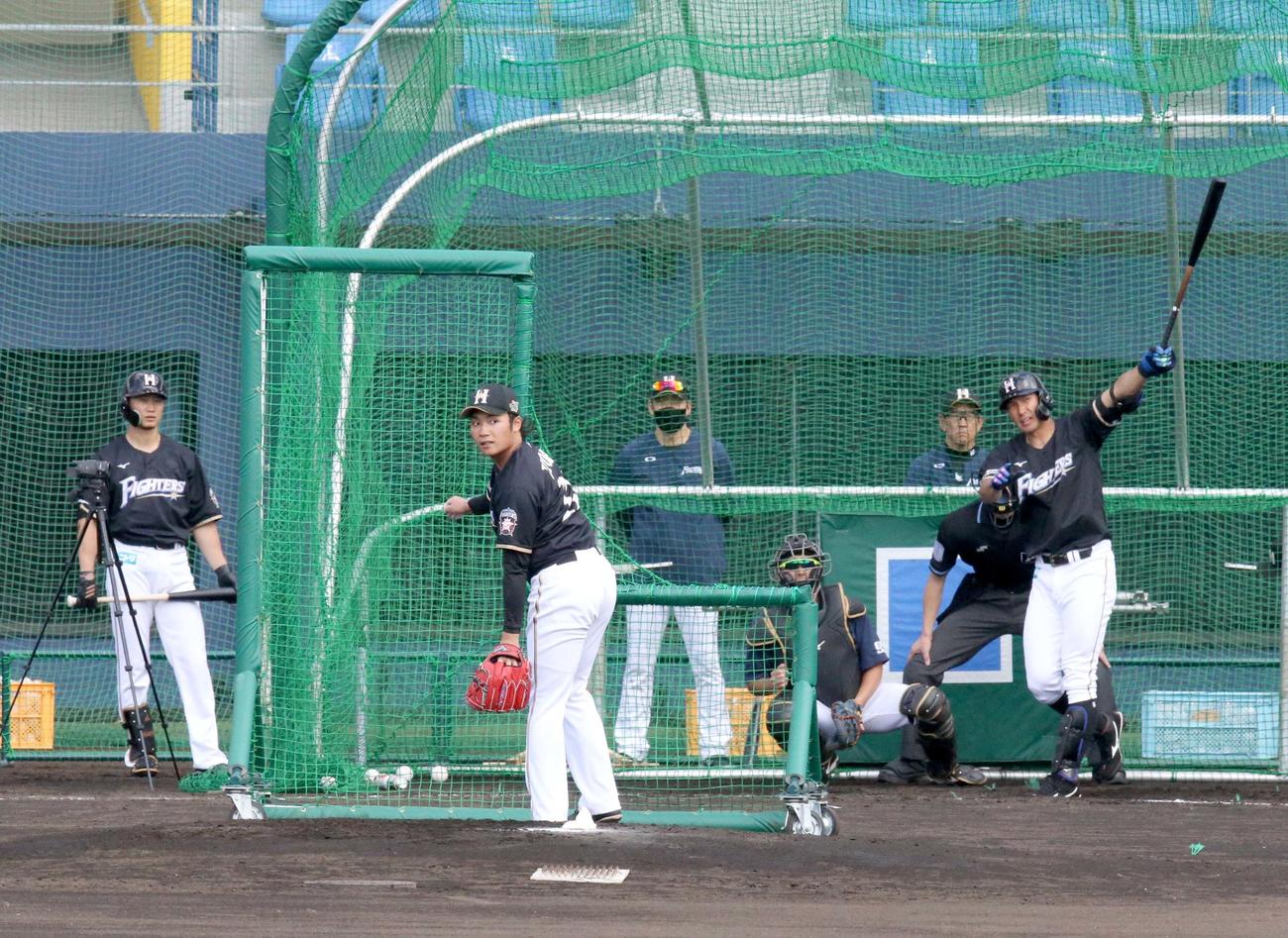 日本ハム西川（左奥）と大田（右）の打撃投手を務める伊藤。右から2人目は栗山監督（撮影・佐藤翔太）