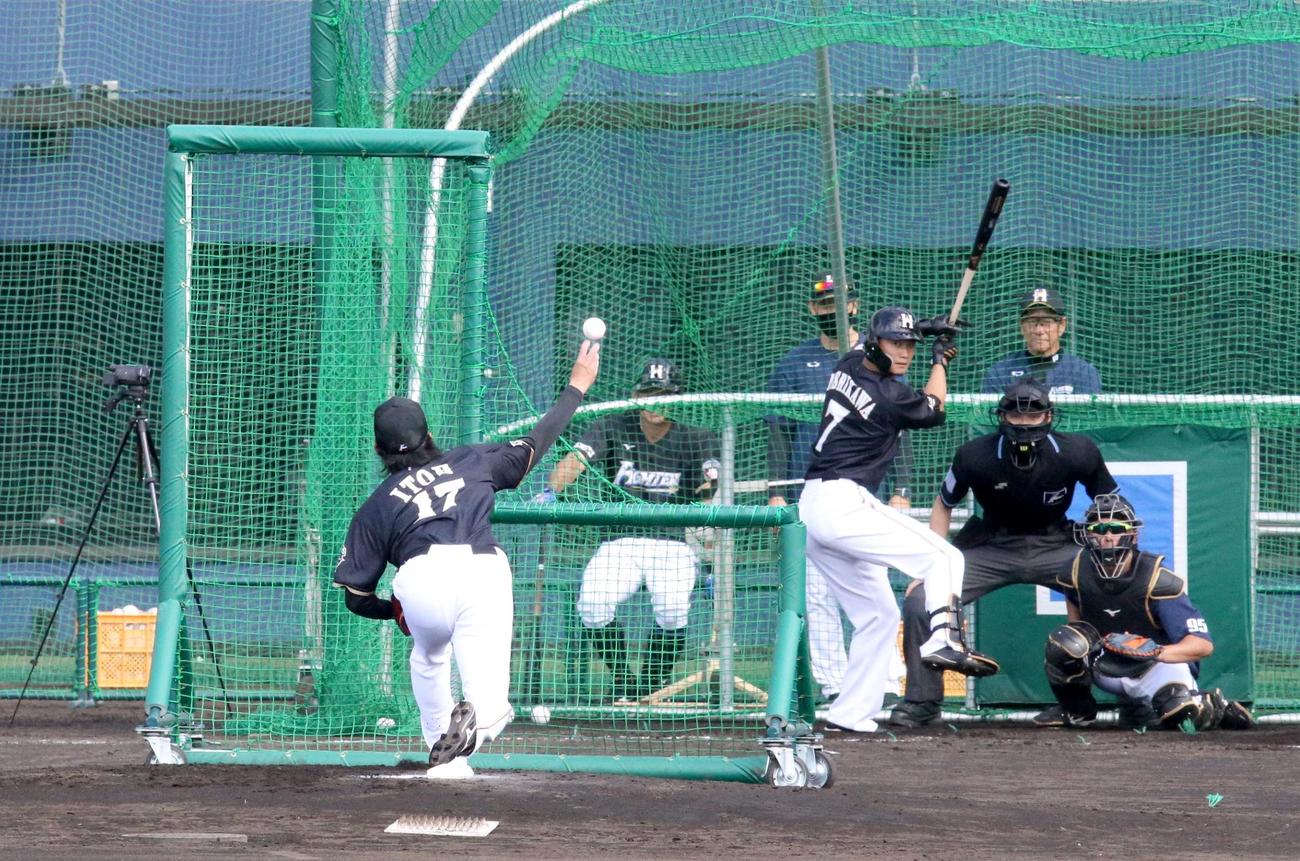 日本ハム西川に投じる伊藤（左手前）。右奥は栗山監督（撮影・佐藤翔太）
