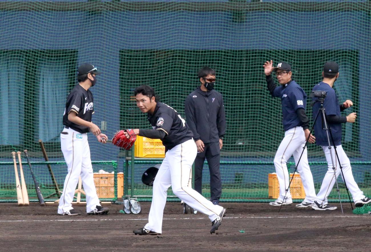 打撃投手を終えお辞儀をしながら引き揚げる日本ハム伊藤（左手前）。右から2人目はそれを見届け練習試合へ向かう栗山監督（撮影・佐藤翔太）