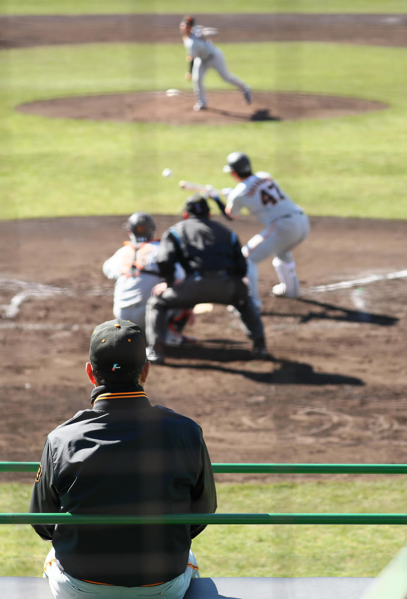 バントを想定した守備練習を見つめる巨人原監督（手前）（撮影・足立雅史）