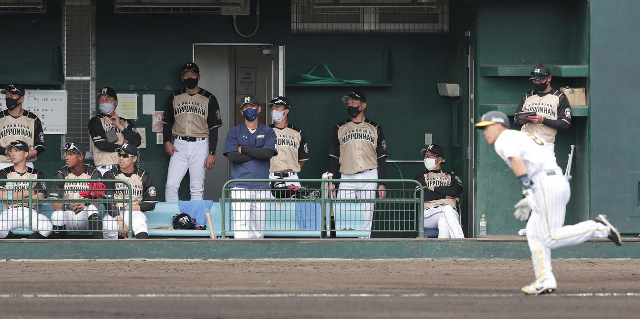 阪神対日本ハム　1回裏阪神1死、右前打を放った佐藤輝（手前）の打球をベンチから見つめる栗山監督（右から2人目）ら日本ハムナイン（撮影・前田充）