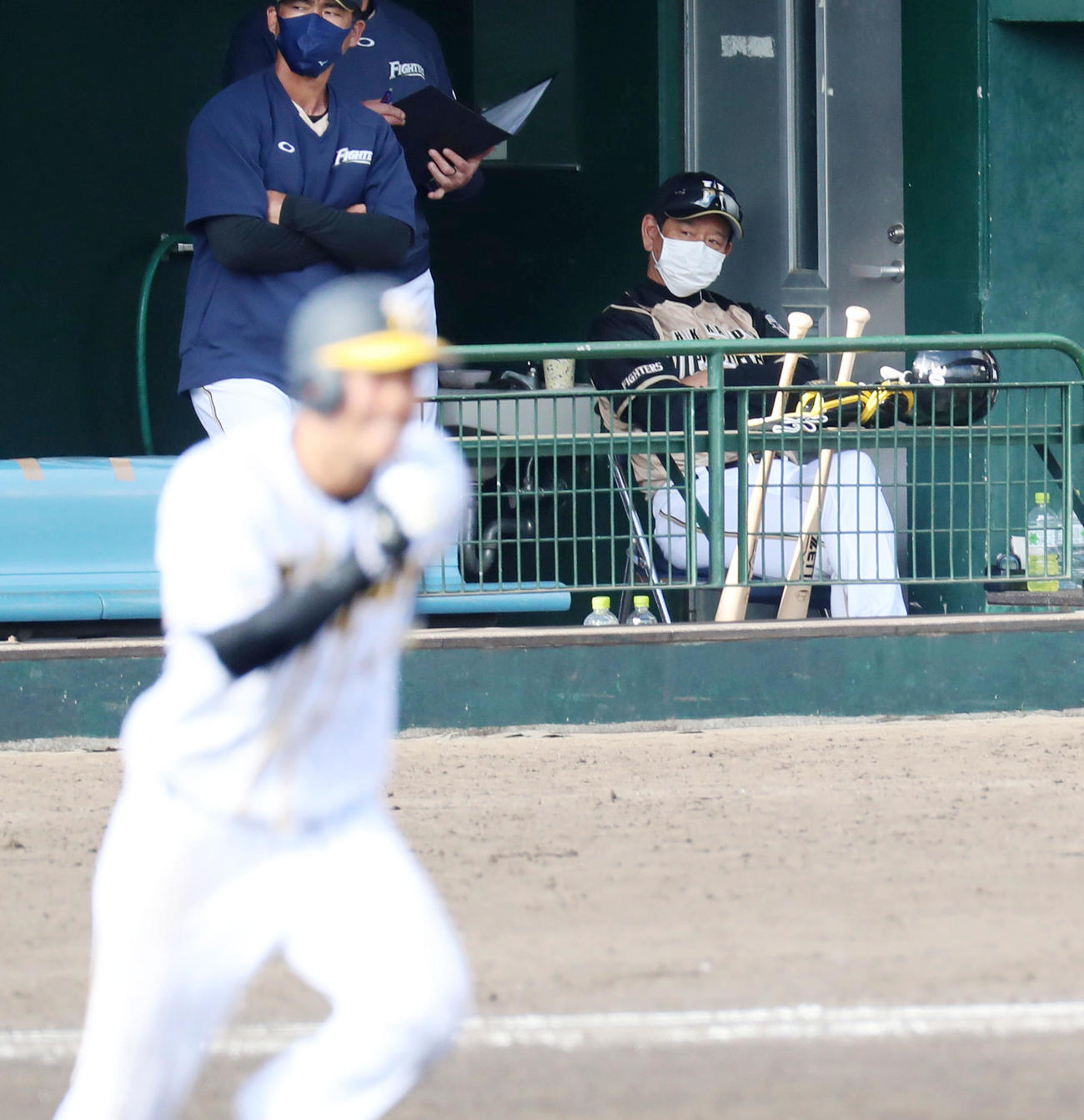 阪神対日本ハム　7回裏阪神1死二塁、佐藤輝の右線適時二塁打をベンチから見る栗山監督（撮影・加藤哉）