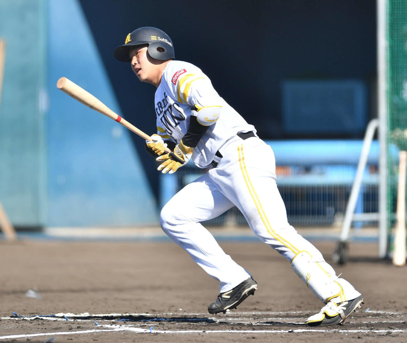 シート打撃で左前打を放つ井上（撮影・岩下翔太）