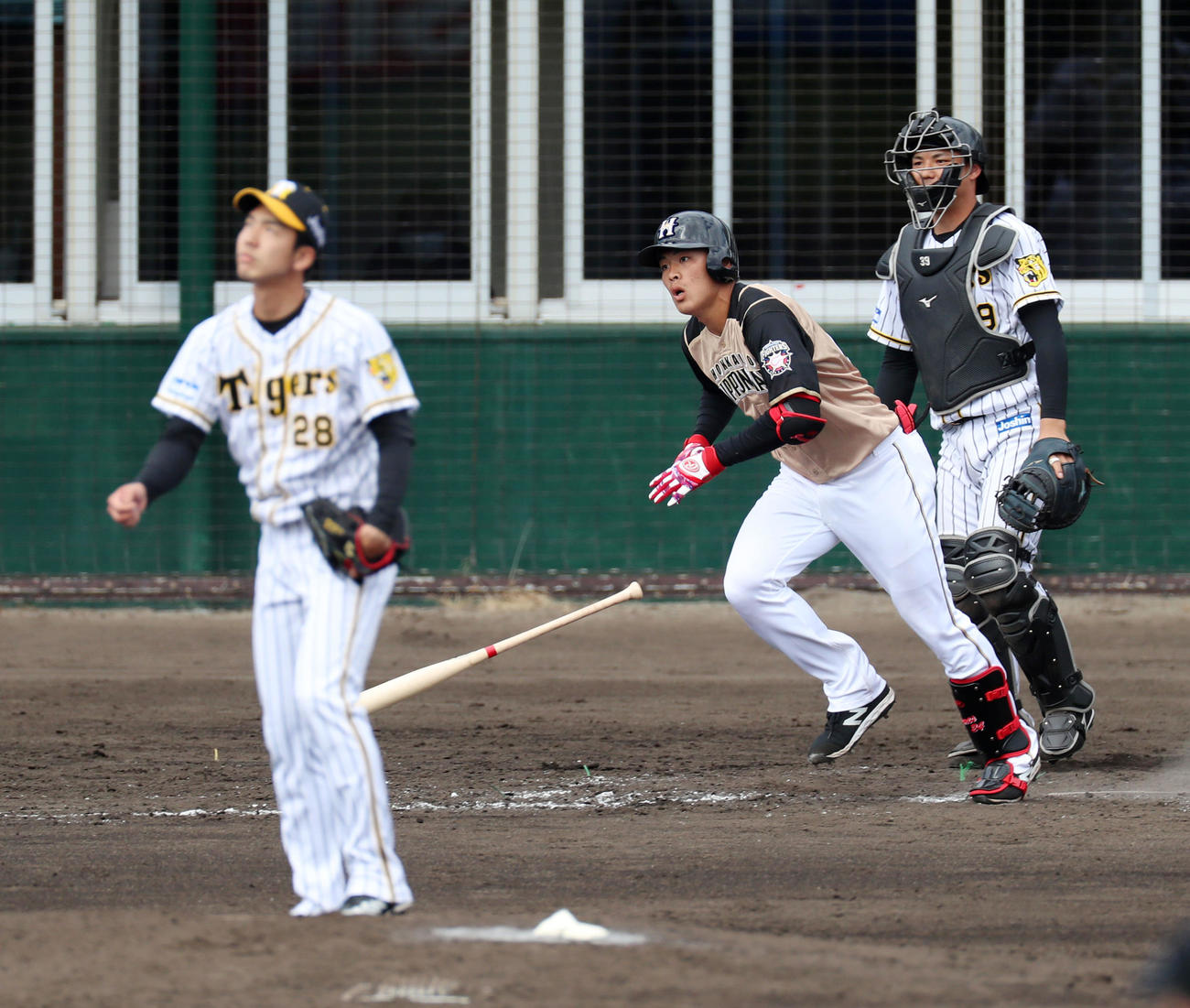 阪神対日本ハム　5回表日本ハム無死、野村は右越え三塁打を放つ、左は小野（撮影・加藤哉）