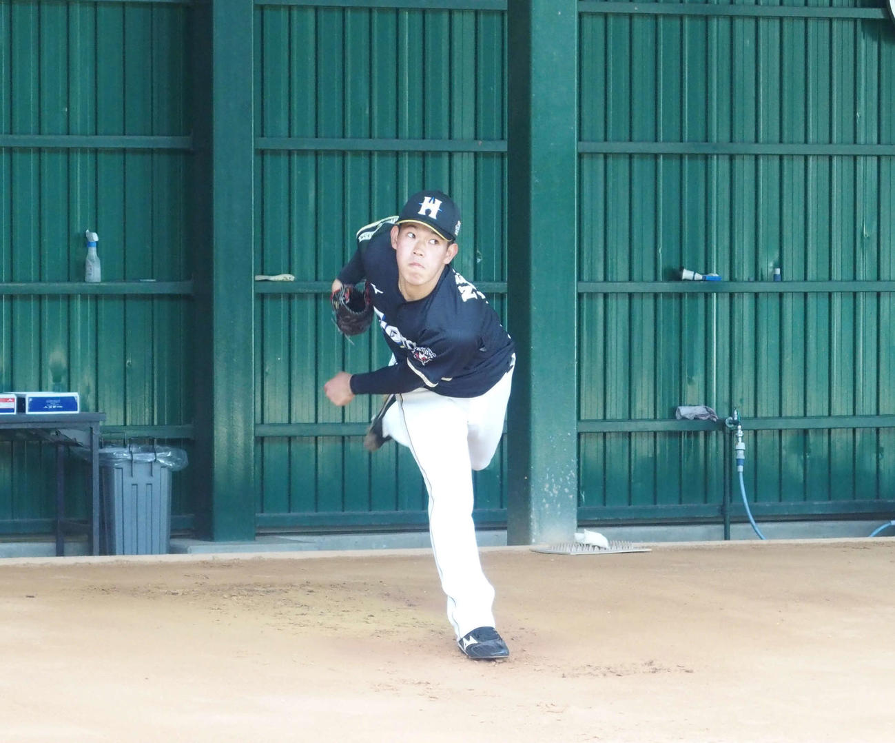 初めてブルペン入りした日本ハムドラフト5位根本（撮影・中島宙恵）