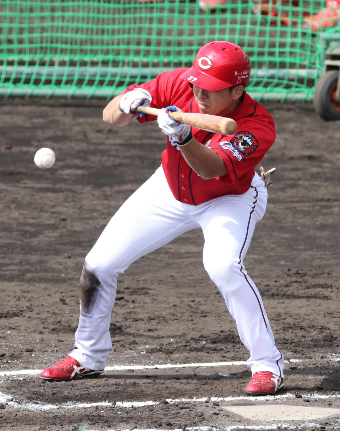 ケース打撃でバントする野間（撮影・加藤孝規）