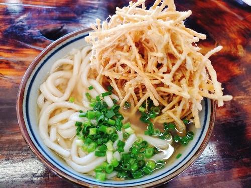 「忠太郎茶屋」のごぼう天うどん