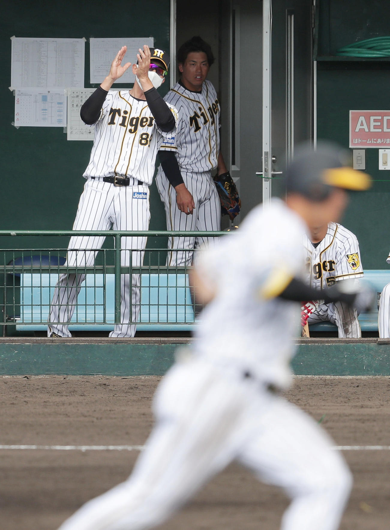 阪神対日本ハム　5回裏阪神無死一塁、矢野監督は佐藤輝（手前）の右越え2点本塁打に拍手する。右は梅野（撮影・前田充）