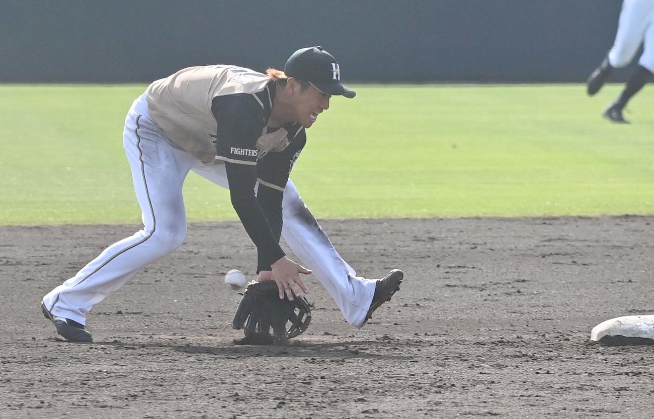 阪神対日本ハム　7回裏阪神無死、井上広大のゴロをエラーする平沼翔太（撮影・上田博志）