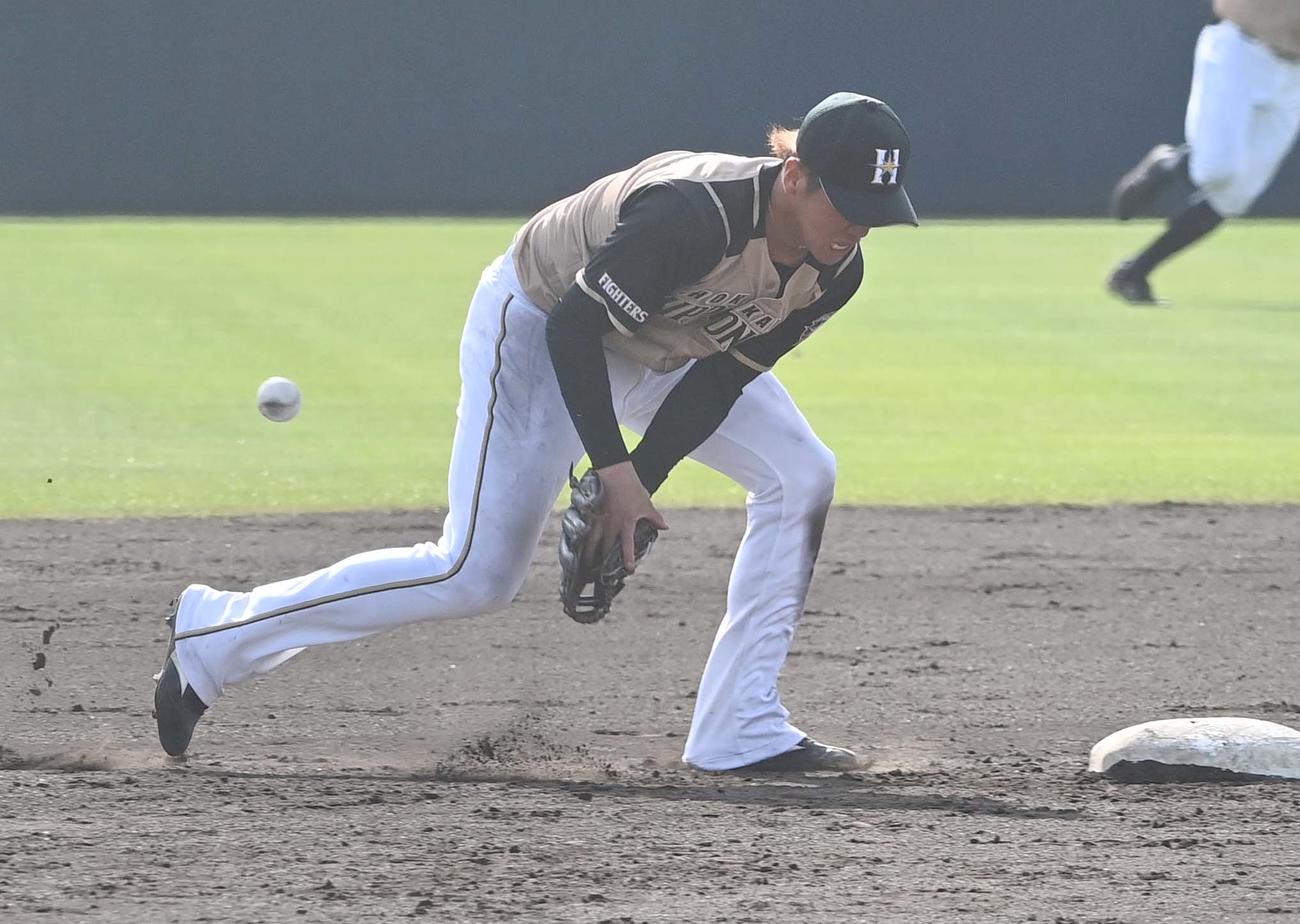 阪神対日本ハム　7回裏阪神無死、井上広大のゴロをエラーする平沼翔太（撮影・上田博志）