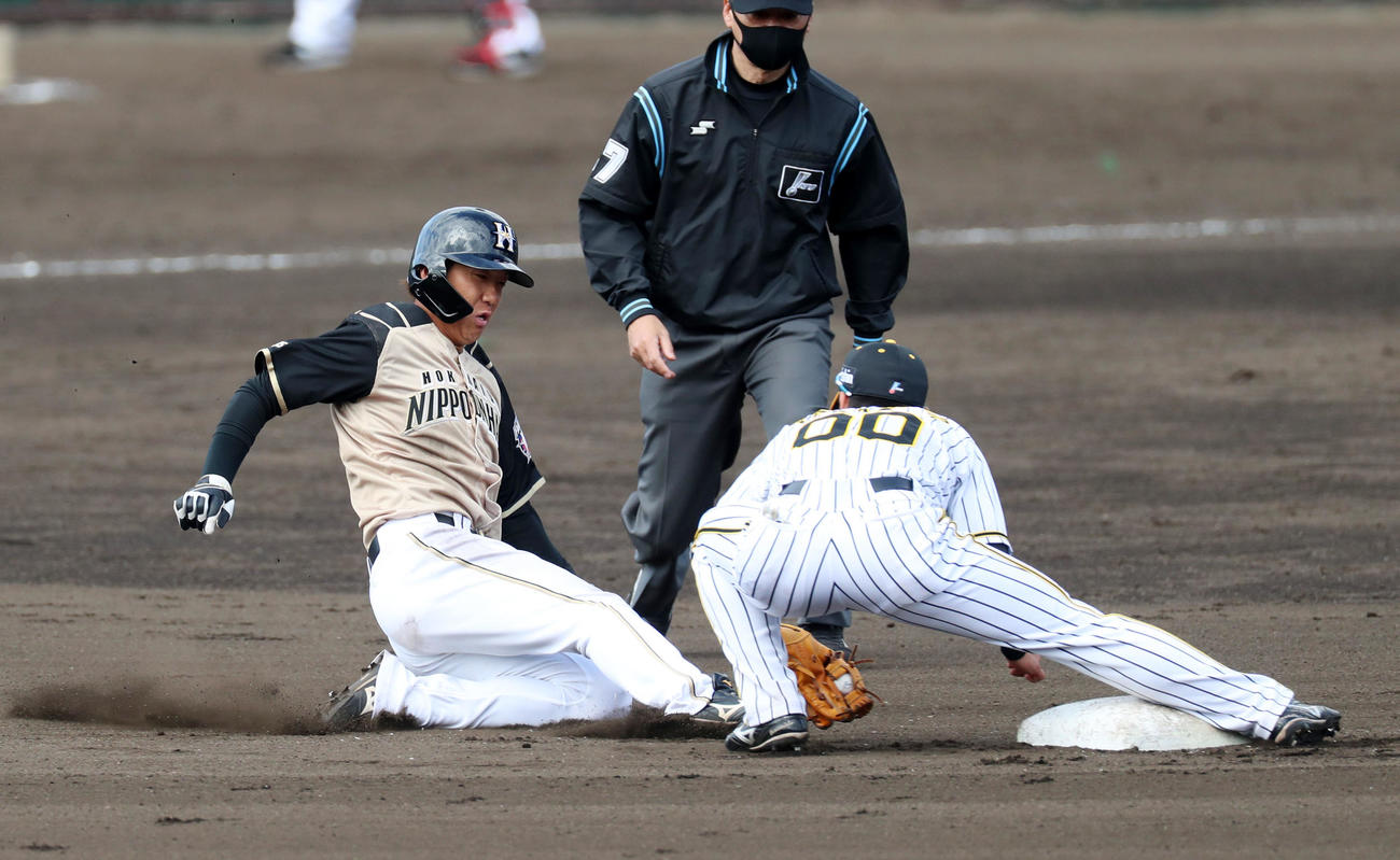 阪神対日本ハム　6回表日本ハム2死一塁、一走平沼は二塁盗塁失敗、右は山本（撮影・加藤哉）