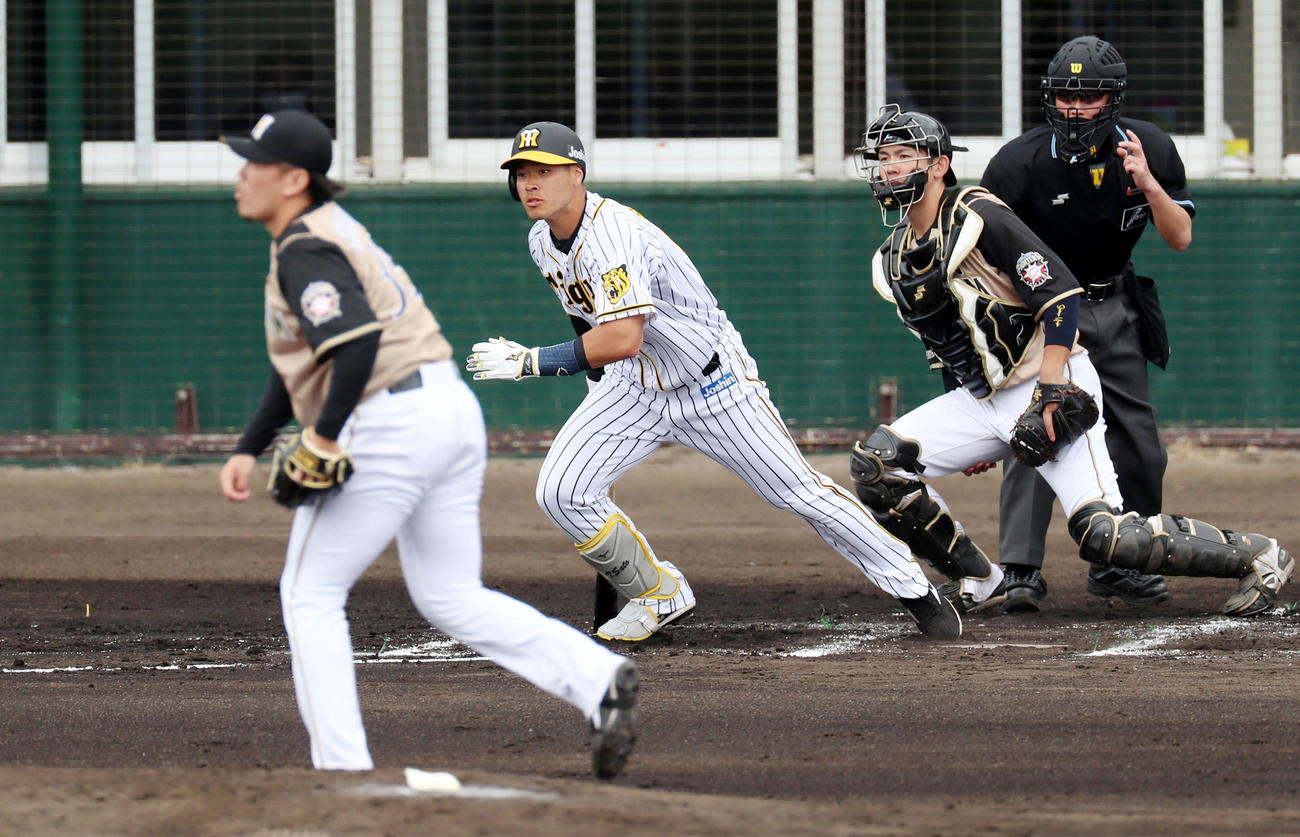 阪神対日本ハム（練習試合）　1回裏阪神1死、佐藤輝は右前打を放つ。左は西村（撮影・加藤哉）