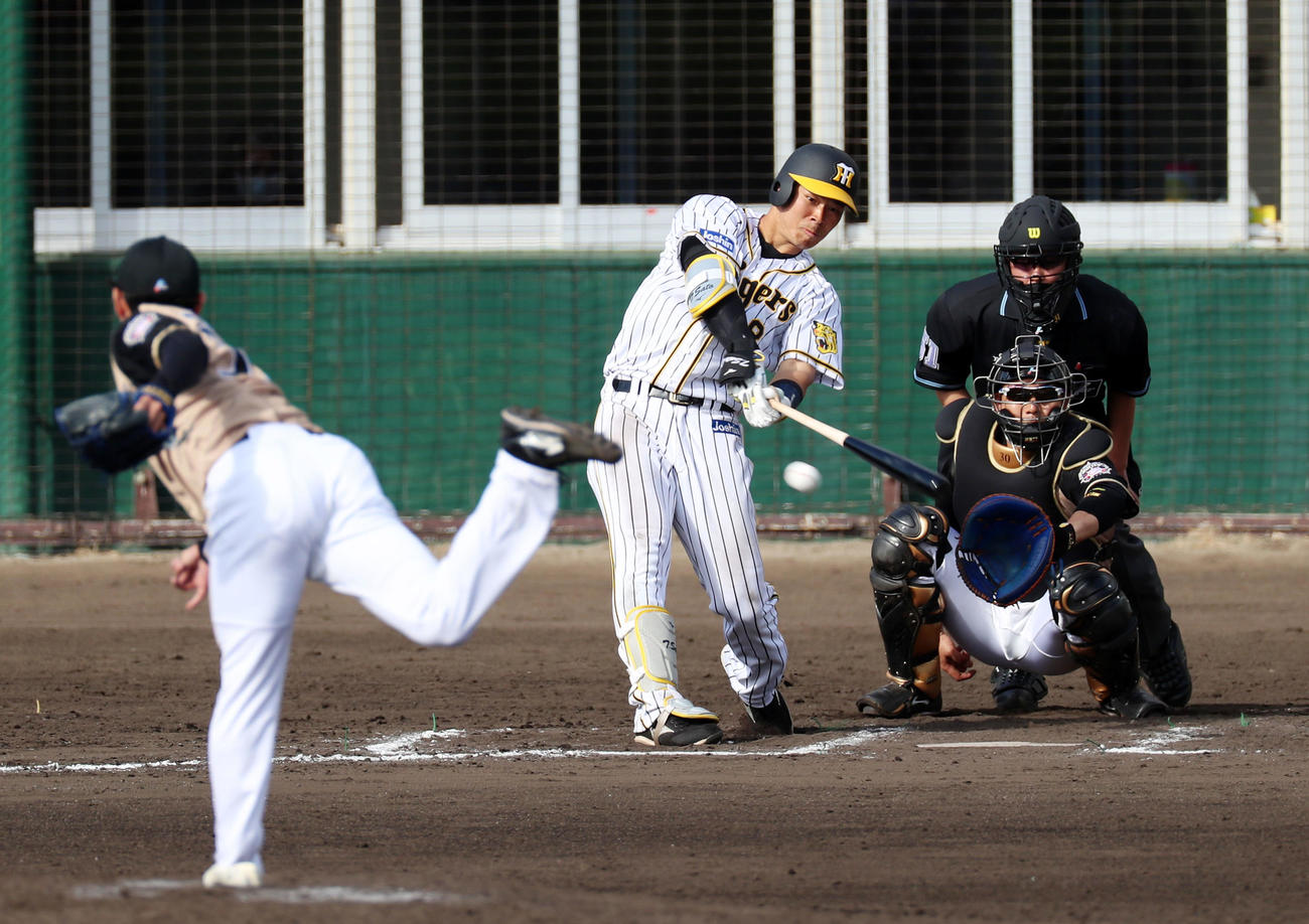 阪神対日本ハム（練習試合）　7回裏阪神1死二塁、佐藤輝は右線に適時二塁打を放つ、左は立野（撮影・加藤哉）