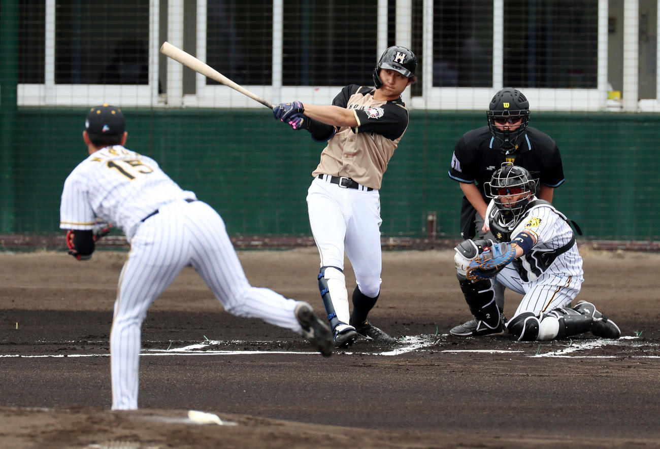 阪神対日本ハム　1回表日本ハム無死一、二塁、浅間は右前打を放つ、左は西純（撮影・加藤哉）