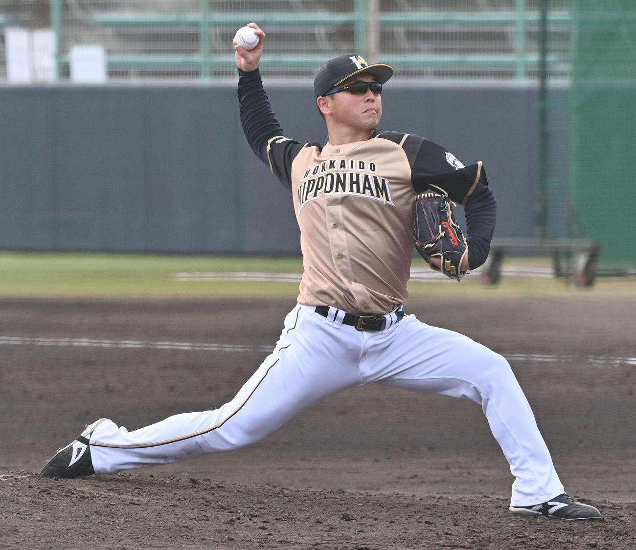 阪神対日本ハム　日本ハム2番手の生田目（撮影・上田博志）