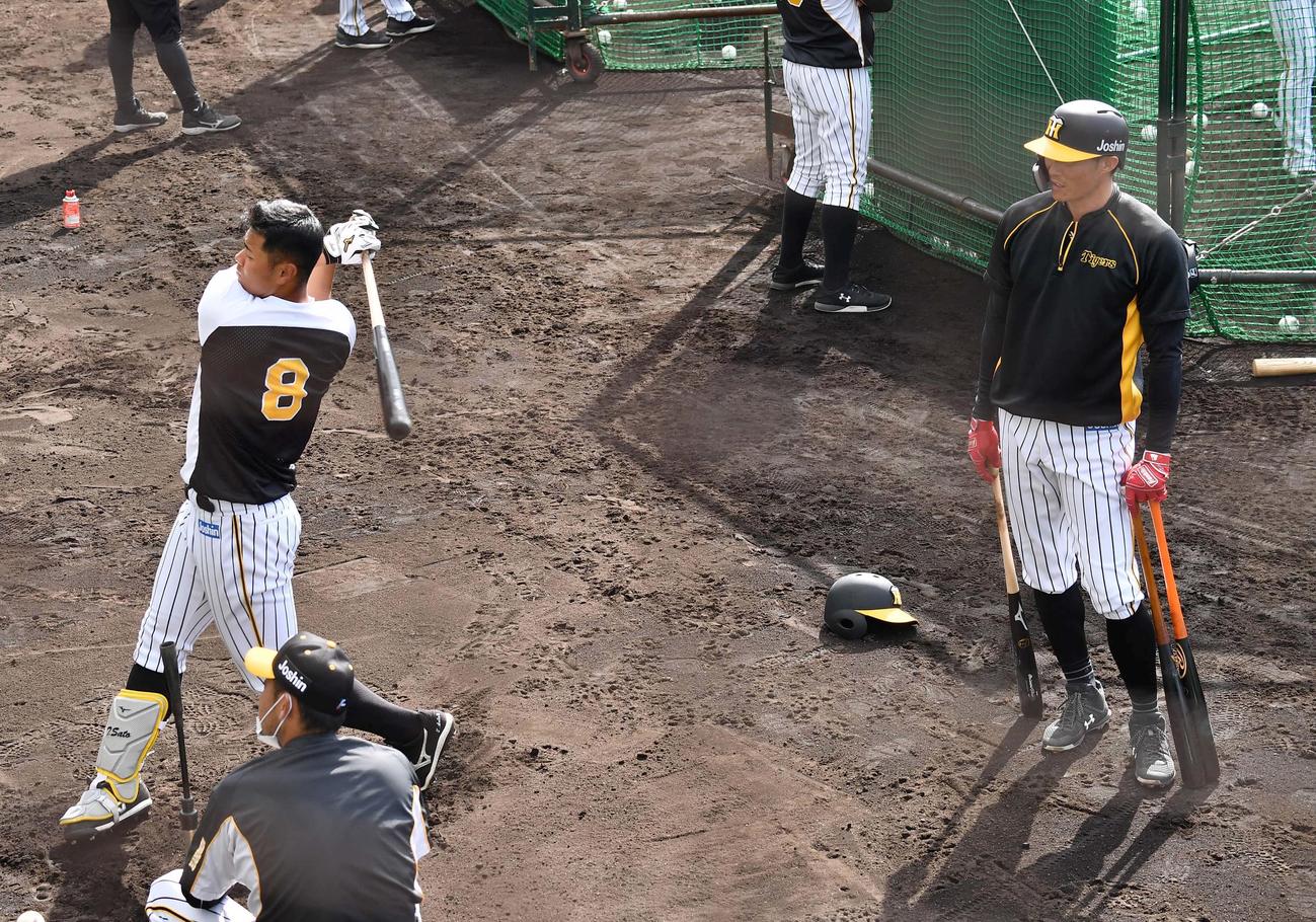 佐藤輝（左）の打撃練習を見守る糸井（撮影・上田博志）