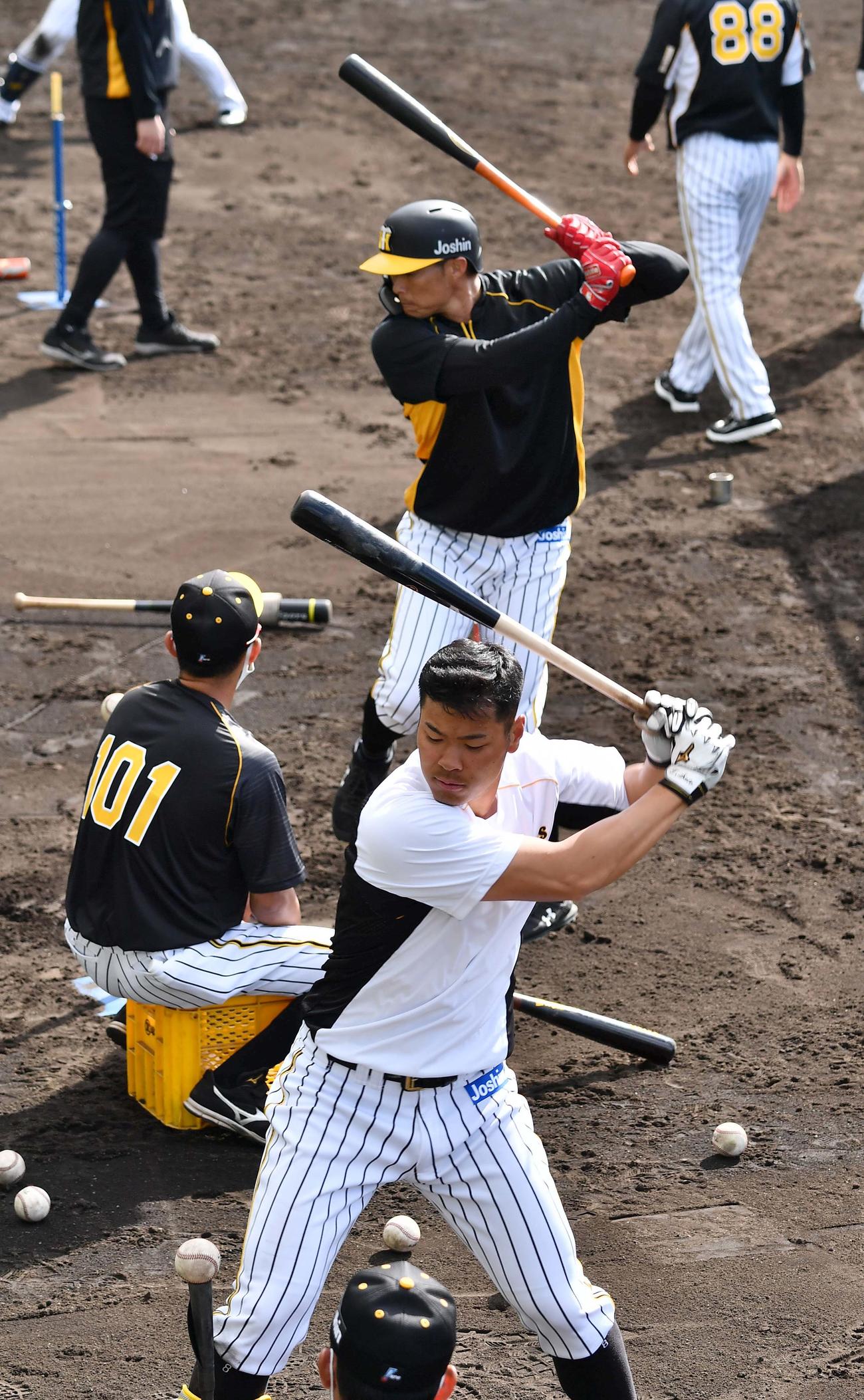 並んで打撃練習をする佐藤輝（手前）と糸井（撮影・上田博志）