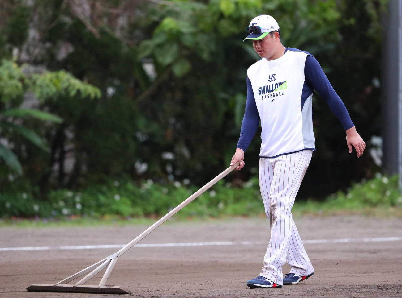 特守を終え、グラウンドを整えるヤクルト村上（撮影・河田真司）