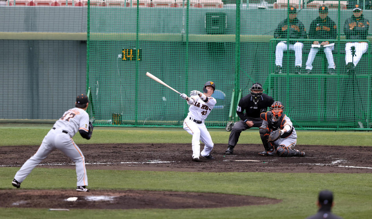 紅白戦　3回裏白組1死、重信を空振り三振に仕留める高橋（撮影・狩俣裕三）