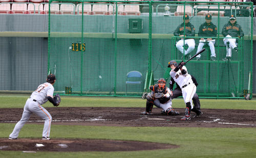 紅白戦 2回裏白組2死、空振り三振に倒れる若林。投手高橋(撮影・狩俣裕三)