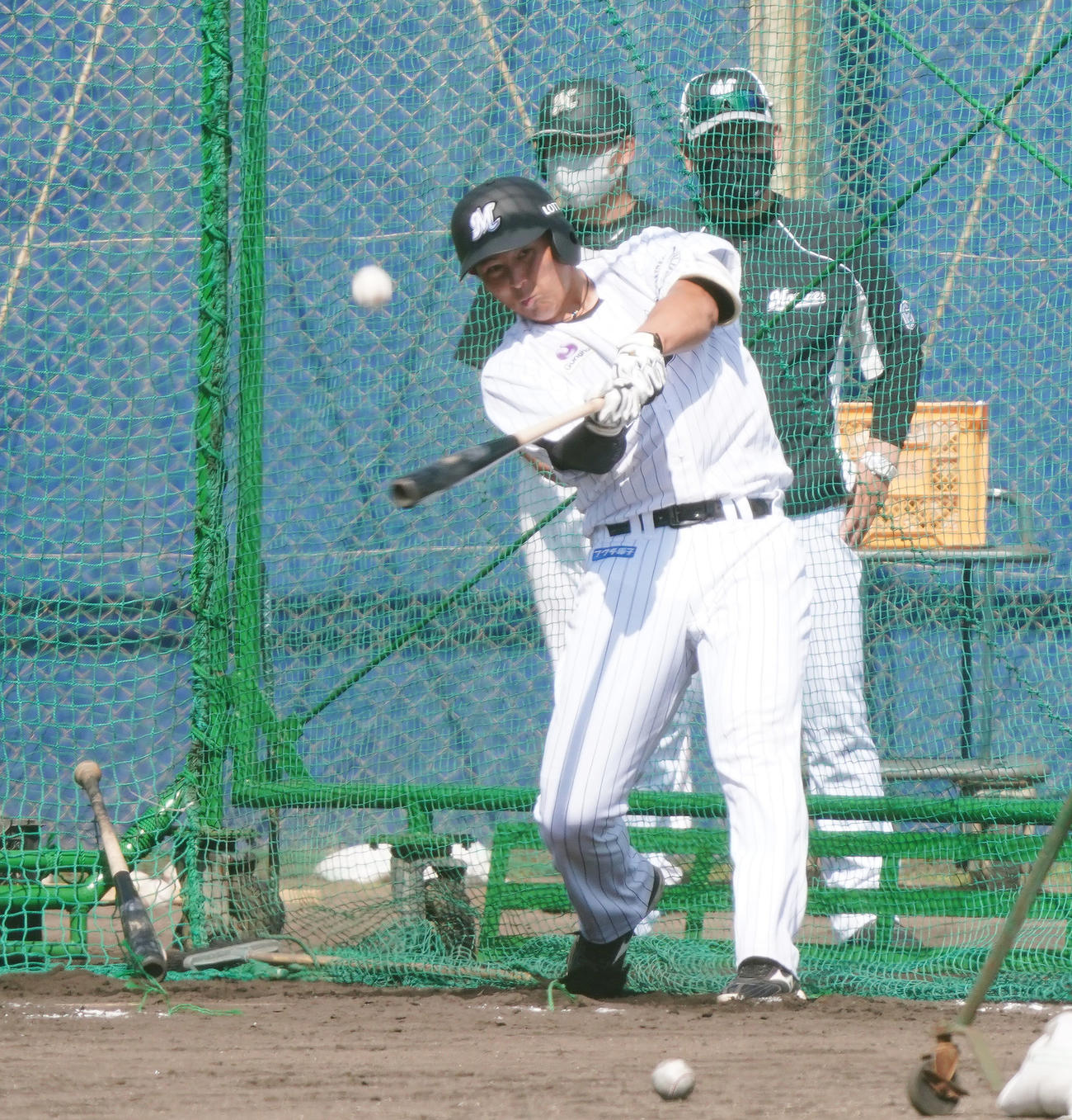 ロッテ西川（2月7日撮影）