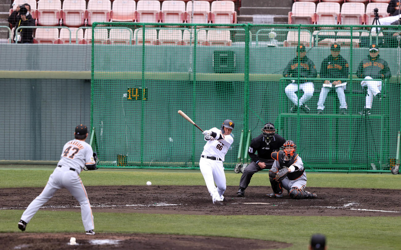 紅白戦　3回裏白組2死、香月を一ゴロに打ち取る高橋（撮影・狩俣裕三）