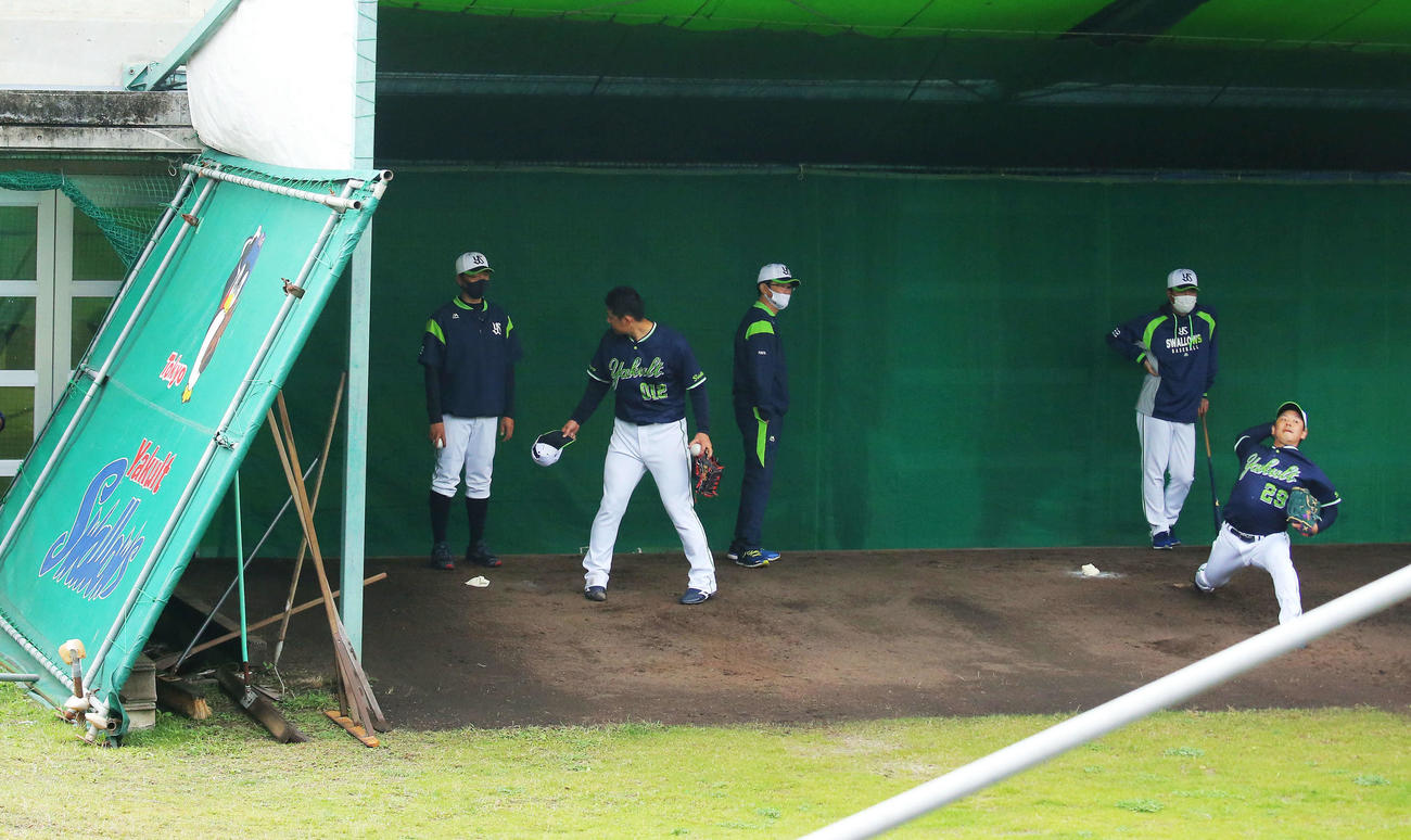 ブルペン投球する投手陣を見る、後方左から伊藤投手コーチ、古田臨時コーチ、高津監督。手前左から近藤、小川（撮影・河田真司）