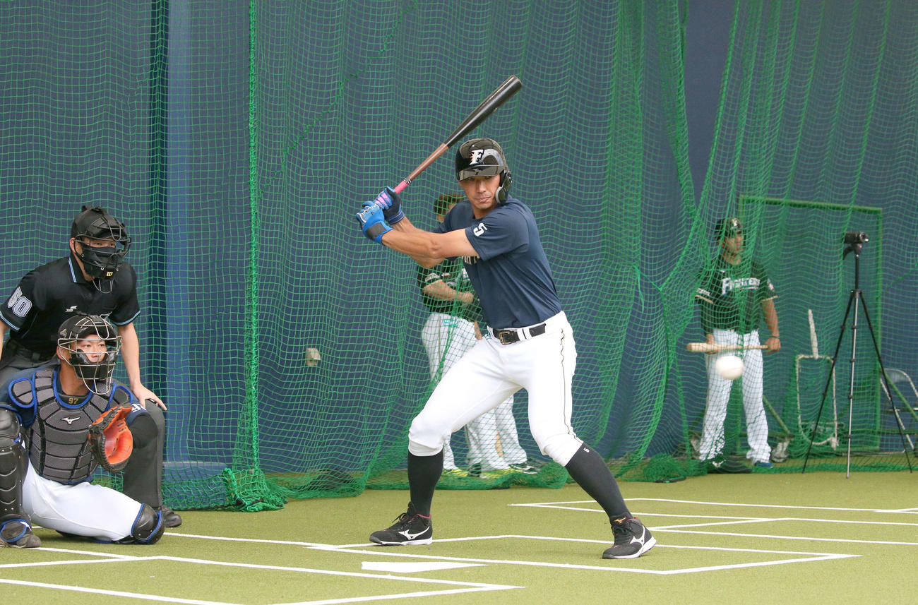 ブルペンの打席に入り投球に目を慣らす日本ハム大田（撮影・黒川智章）　　　