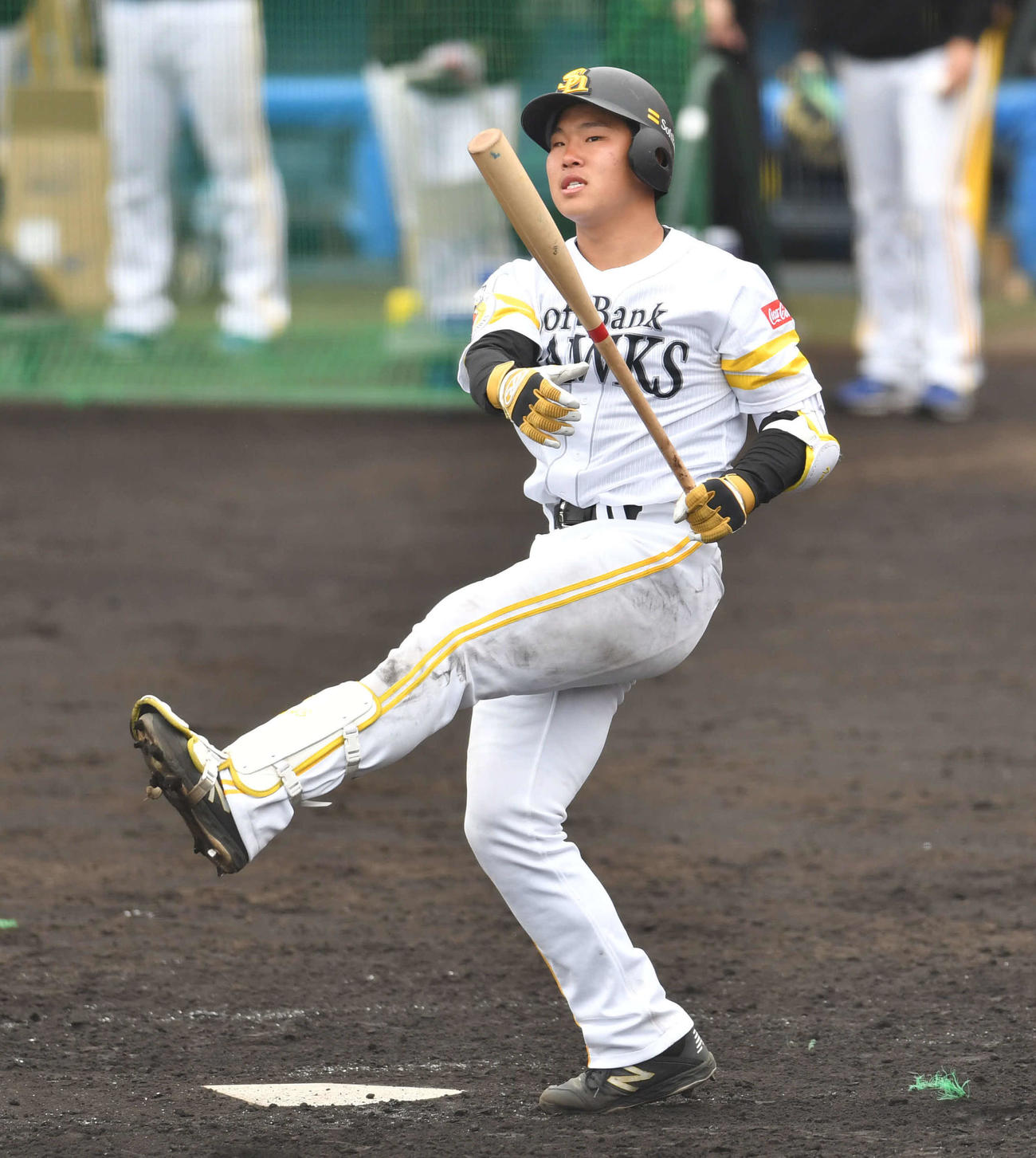 シート打撃で杉山の投球にファウルで粘る井上（撮影・岩下翔太）