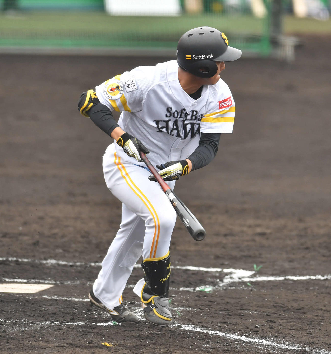 シート打撃で左前安打を放つ柳町（撮影・岩下翔太）