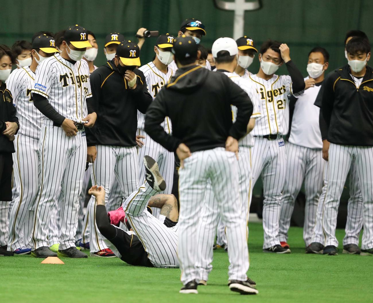 一日主将を志願しでんぐり返りするマルテ