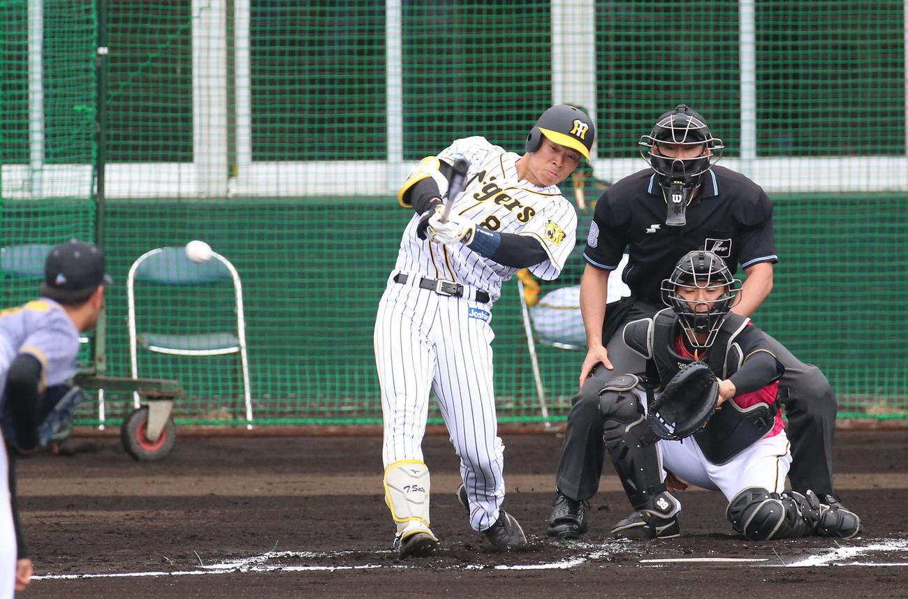 紅白戦　1回裏白組無死、佐藤輝明は右へ二塁打を放つ（撮影・上山淳一）