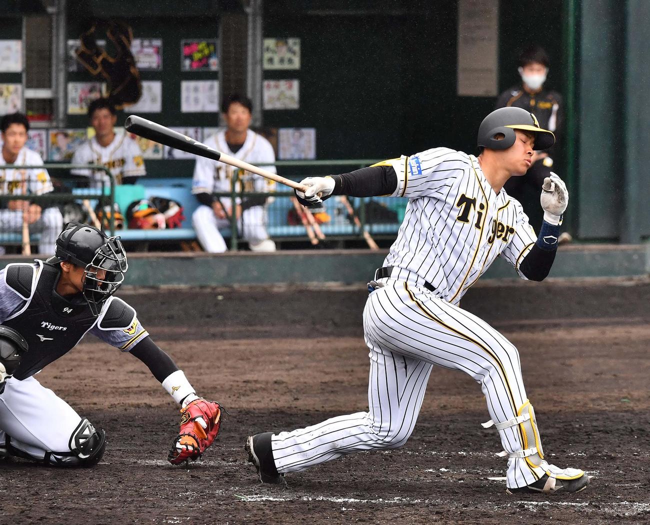 紅白戦　3回裏白組1死、三振に倒れる佐藤輝明（撮影・上田博志）