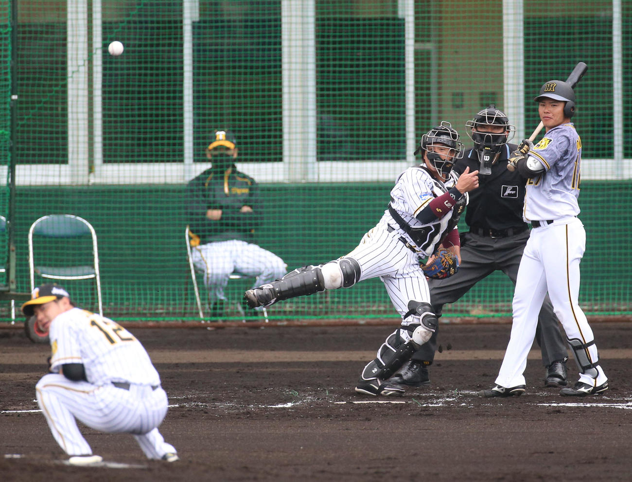 紅白戦　2回表紅組2死一塁、小野寺暖の時、梅野隆太郎は一走中野拓夢の二盗を刺す（撮影・上山淳一）