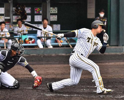 紅白戦　3回裏白組1死、三振に倒れる佐藤輝明（撮影・上田博志）