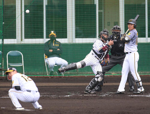 紅白戦　2回表紅組2死一塁、小野寺暖の時、梅野隆太郎は一走中野拓夢の二盗を刺す（撮影・上山淳一）