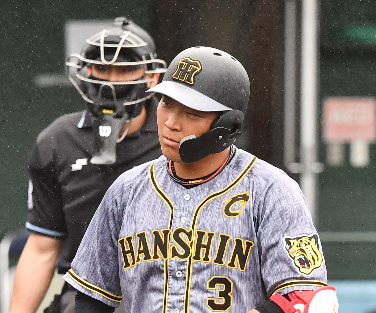 12日の紅白戦　4回表紅組2死、三振に倒れベンチに引き揚げる大山悠輔。この後、守備を交代する（撮影・上田博志）