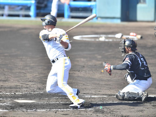 紅白戦　1回裏白組1死一、三塁、真砂は右前適時打を放つ（撮影・岩下翔太）