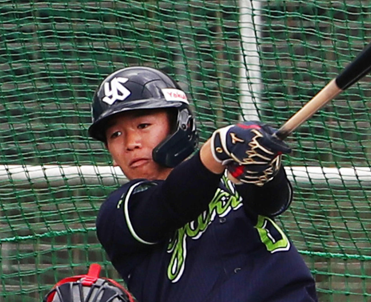 打撃練習するヤクルト並木（撮影・河田真司）