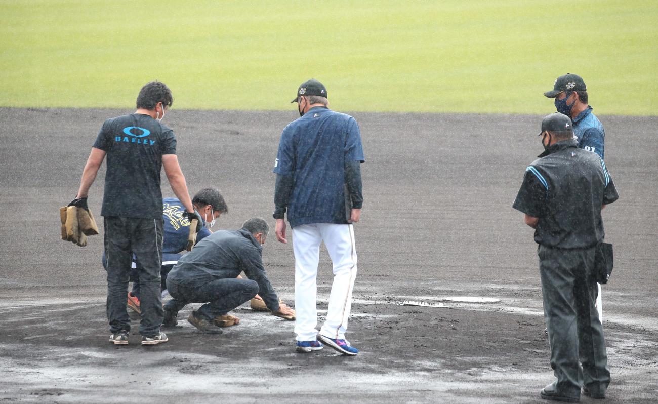 日本ハム紅白戦　試合前、雨でぬかるむマウンドを整備するスタッフ（撮影・黒川智章）　　