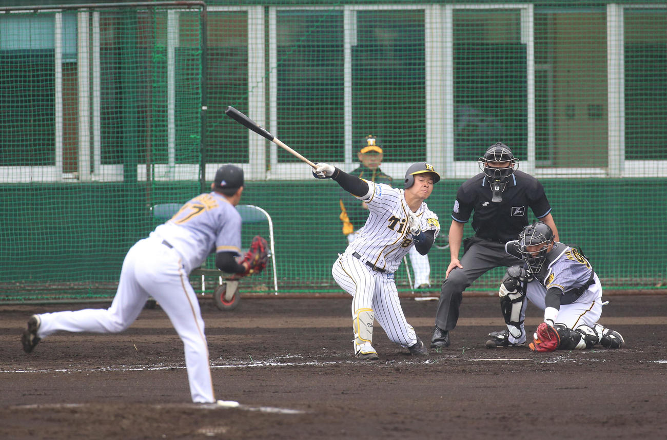 阪神紅白戦　3回裏白組1死、佐藤輝は空振り三振に倒れる。投手は岩貞（2021年2月12日撮影）