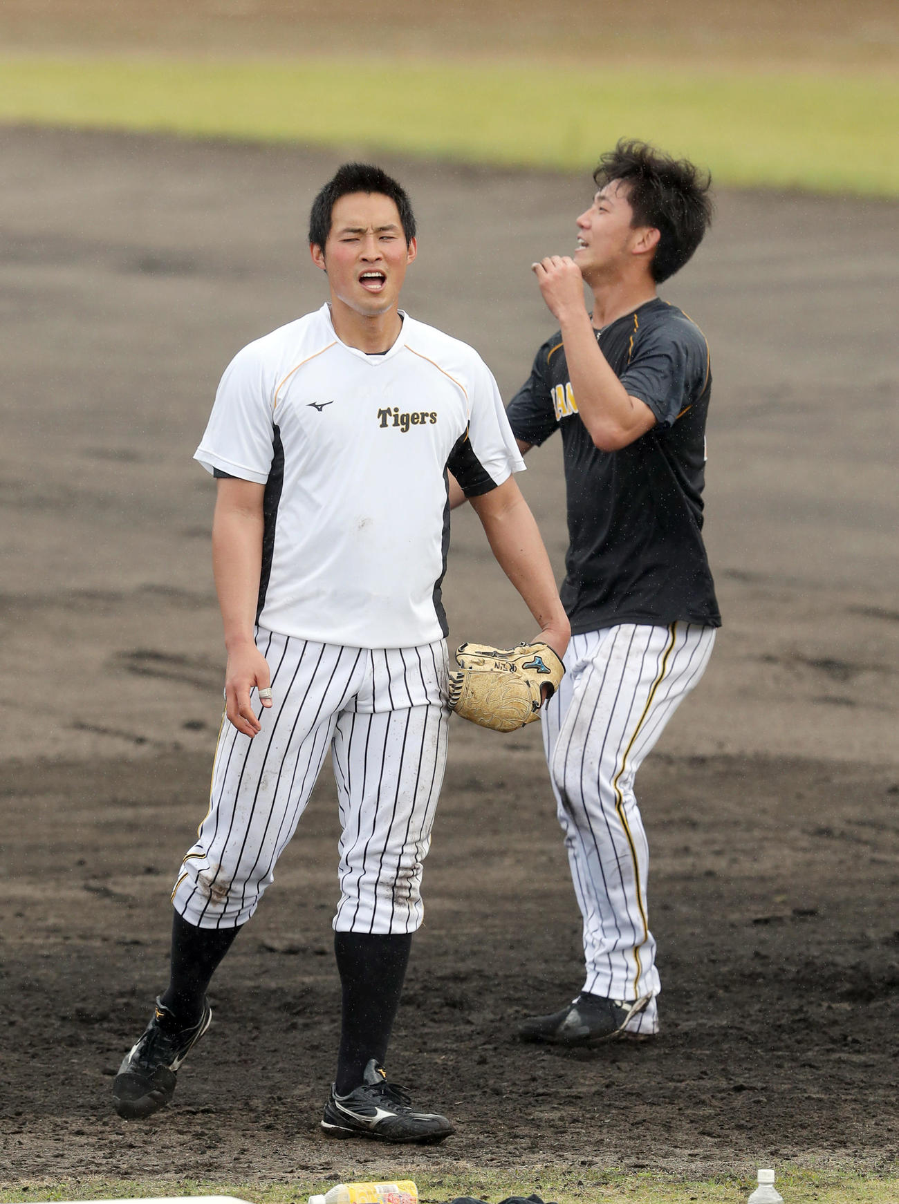 阪神矢野監督のノックを受け、苦しそうな表情を見せる佐藤蓮（左）と伊藤将司（撮影・前田充）